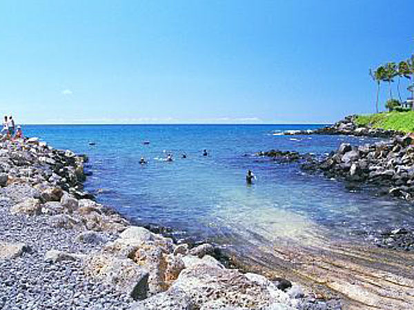 Dive Site
